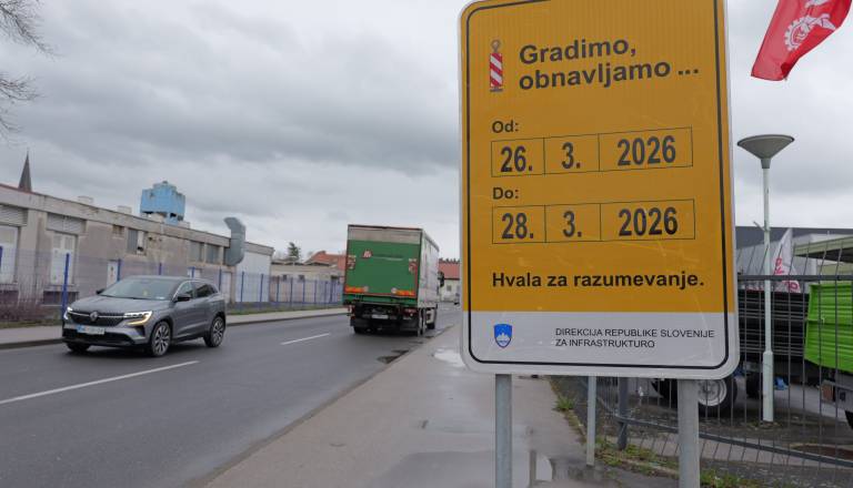 p1083520.JPG