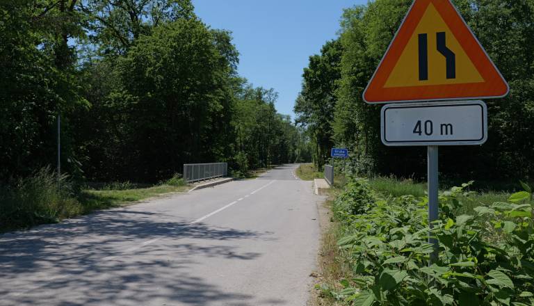 p1107996.JPG