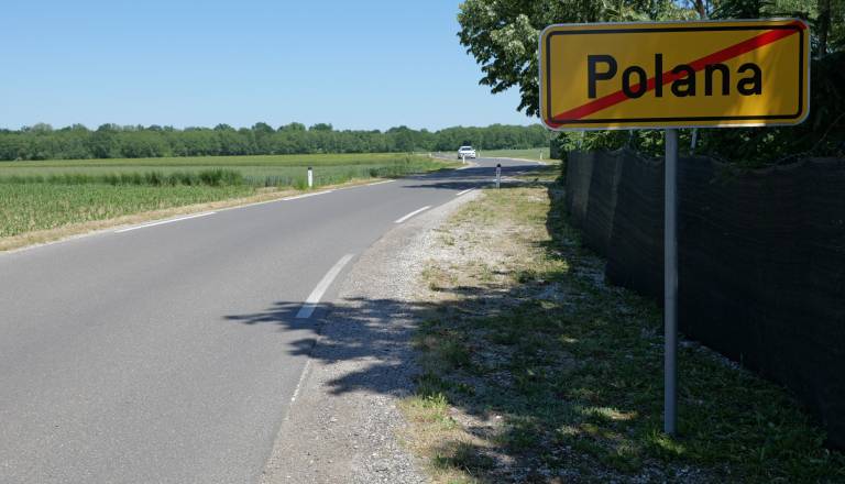 p1107997.JPG