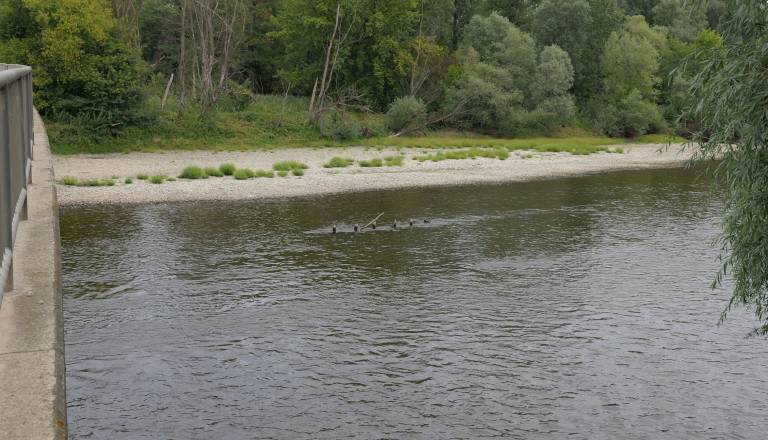 p1146397.JPG