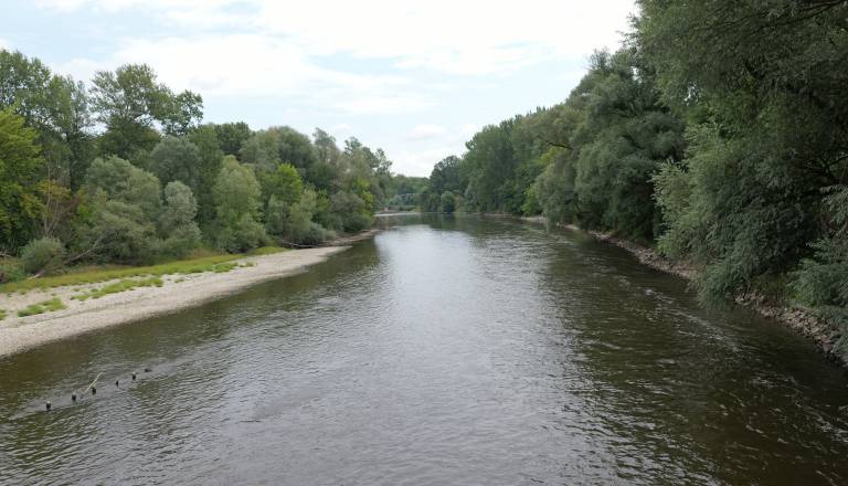 p1146400.JPG