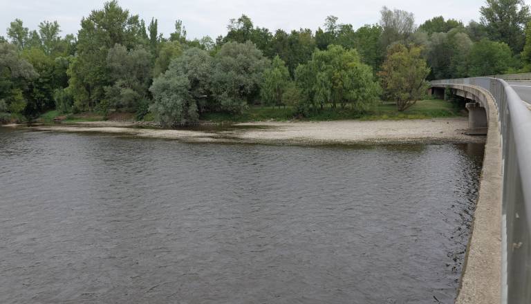 p1146406.JPG