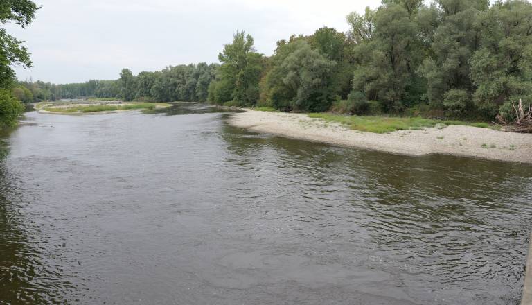 p1146416.JPG