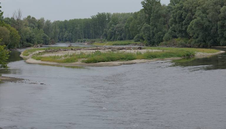 p1146419.JPG