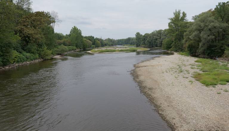 p1146424.JPG