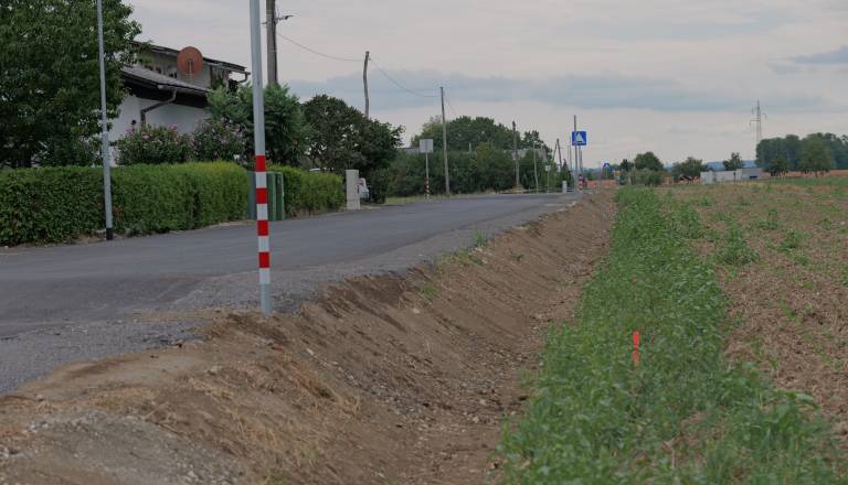 p1146432.JPG