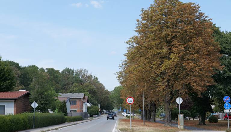 p1146560.JPG