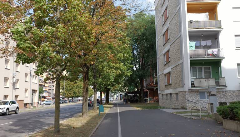p1146569.JPG