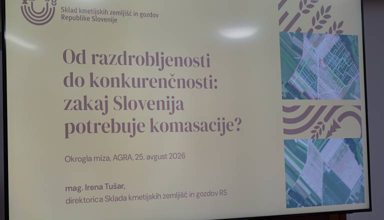 p1146871.JPG