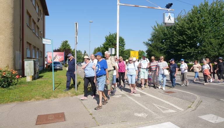 p1429153.jpg