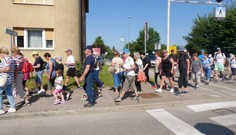 p1429157.jpg