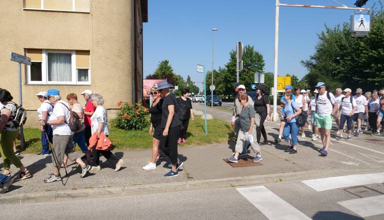 p1429159.jpg