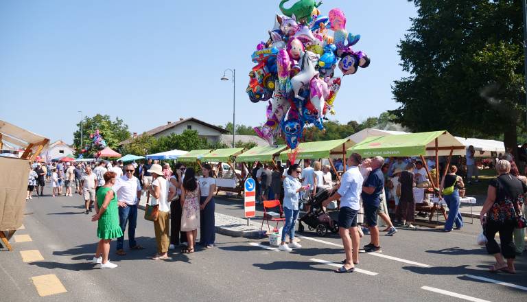 p1531594.jpg