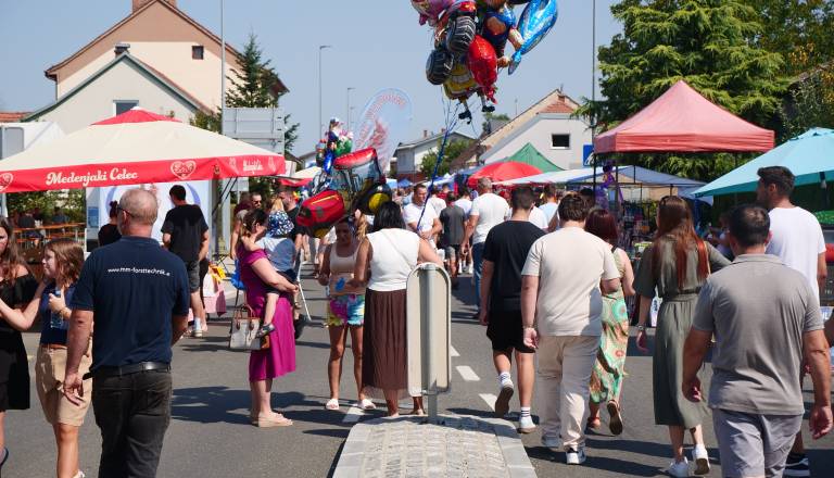 p1531600.jpg