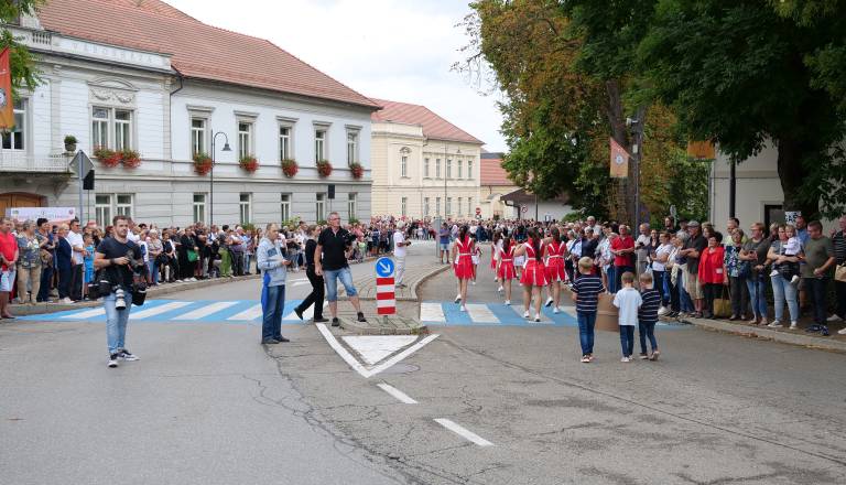 p1543864.jpg