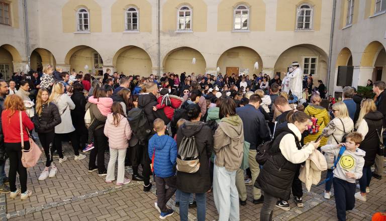 p1747390.jpg