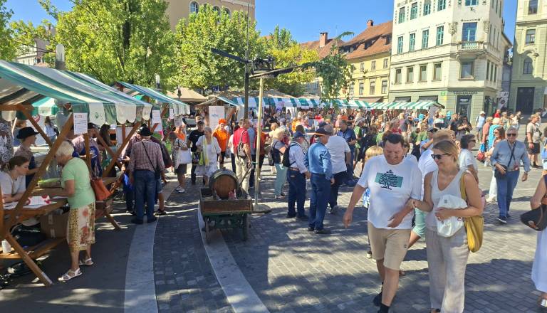pestro-festivalsko-dogajanje-na-presernovem-trgu.jpg