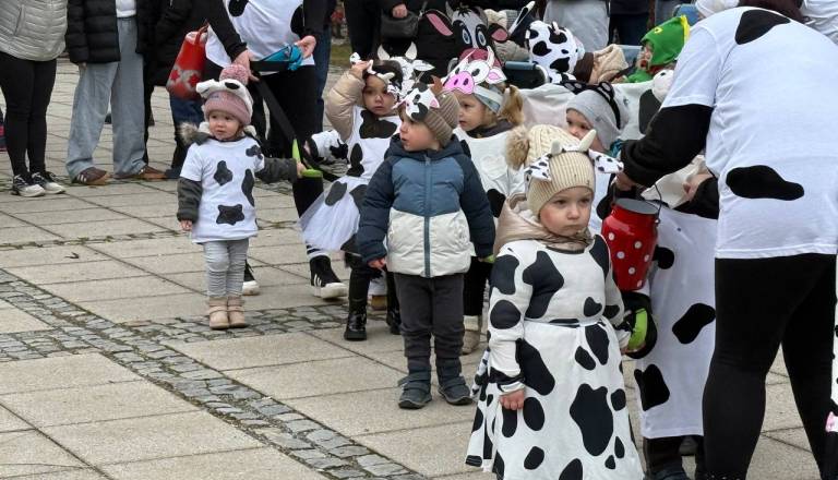photo_2026-02-17_09-36-22.jpg