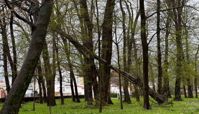 photo_2026-03-27_09-47-11.jpg