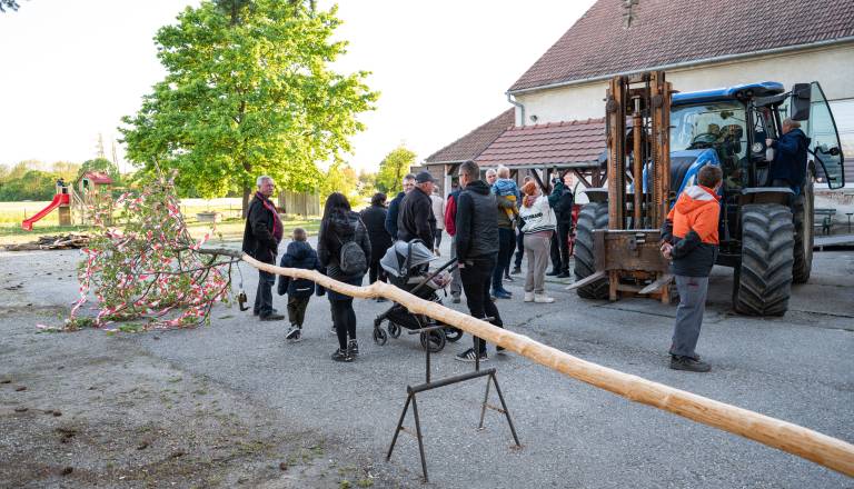 postavljanje-mlaja-v-gornjem-lakosu-07.jpg