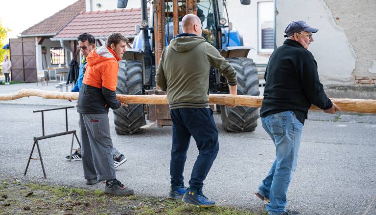 postavljanje-mlaja-v-gornjem-lakosu-15.jpg