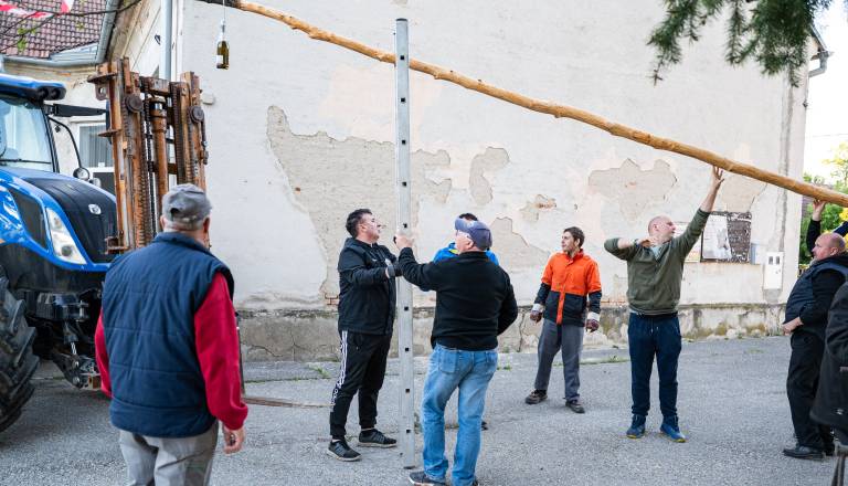 postavljanje-mlaja-v-gornjem-lakosu-19.jpg
