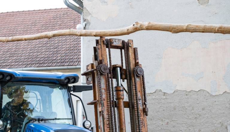 postavljanje-mlaja-v-gornjem-lakosu-21.jpg