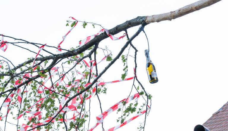 postavljanje-mlaja-v-gornjem-lakosu-24.jpg
