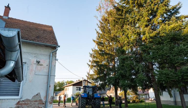 postavljanje-mlaja-v-gornjem-lakosu-26.jpg