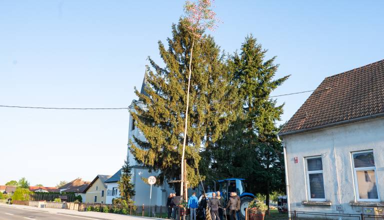 postavljanje-mlaja-v-gornjem-lakosu-30.jpg