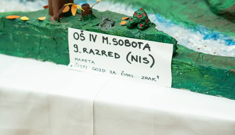 radenska2-21.jpg