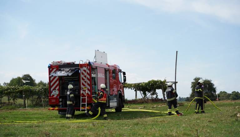 sfr01077.JPG