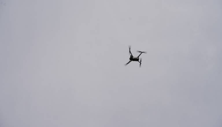 sfr01217.JPG