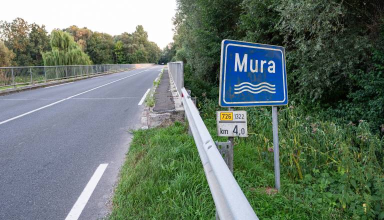 susa-reke-mure_8.jpg