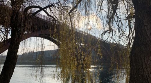 Sprehod po poteh užitnih dreves Maribora