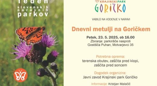 DNEVNI METULJI NA GORIČKEM