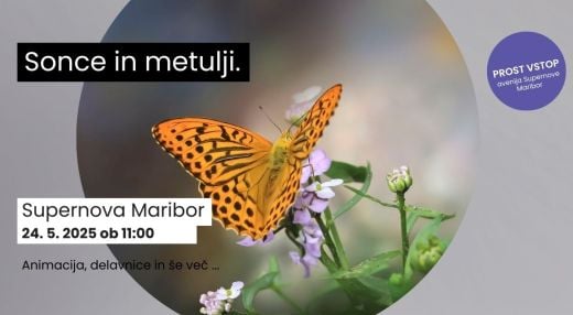 Sonce in metulji v Supernovi Maribor