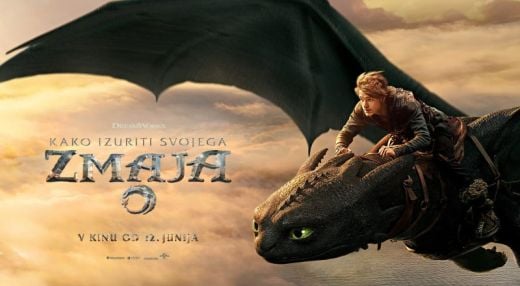 Kako izuriti svojega zmaja
