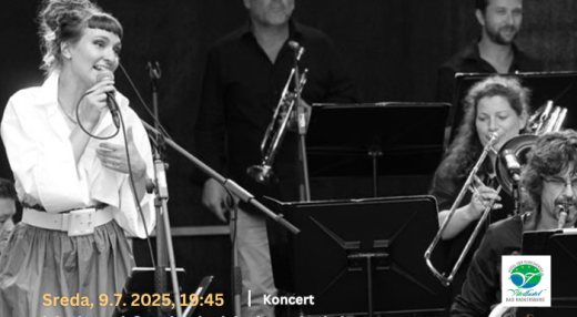 big.band.festival 2025 - big.band.night