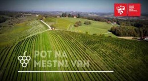 Pot na Mestni Vrh (dan odprtih vrat)