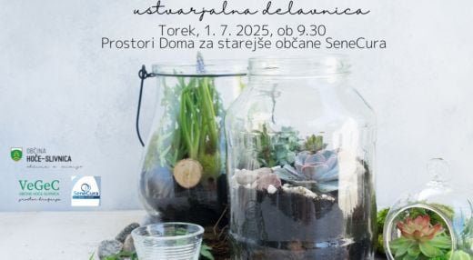 Izdelava rastlinskega terarija (ustvarjalna delavnica)