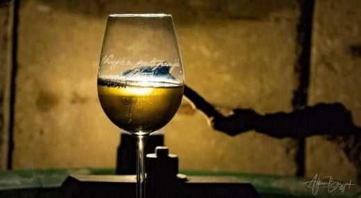Vinska degustacija v temi - rov pod gradom