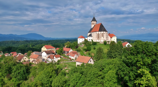 VODEN OGLED BAZILIKE NA PTUJSKI GORI, MEDENO DOŽIVETJE IN HALOŠKA DEGUSTACIJA