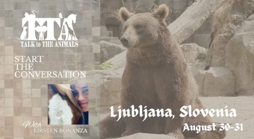 Slovenia, Talk to the Animals - Start the Conversation