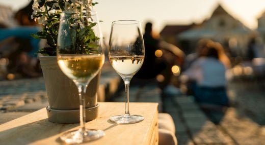 Poletje pri Najstarejši trti: Vinski večer z vini Bračko