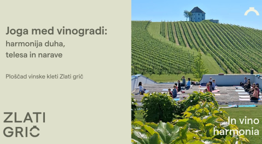 Joga med vinogradi