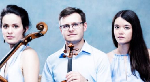 ACCIO PIANO TRIO (Avstrija)