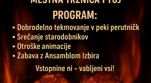 3. Ptujska dobrodelna Perutničkijada