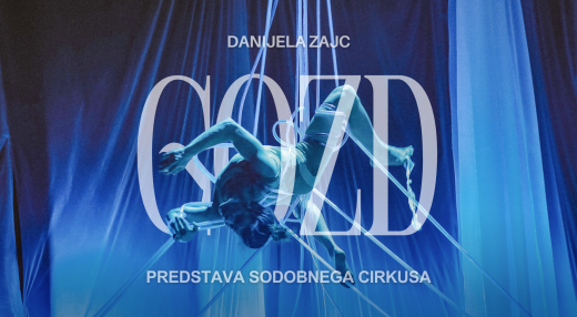 Danijela Zajc: GOZD