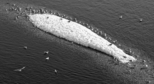 Odprtje fotografske razstave udeležencev fotografskega natečaja  EKO DRAVA 2025